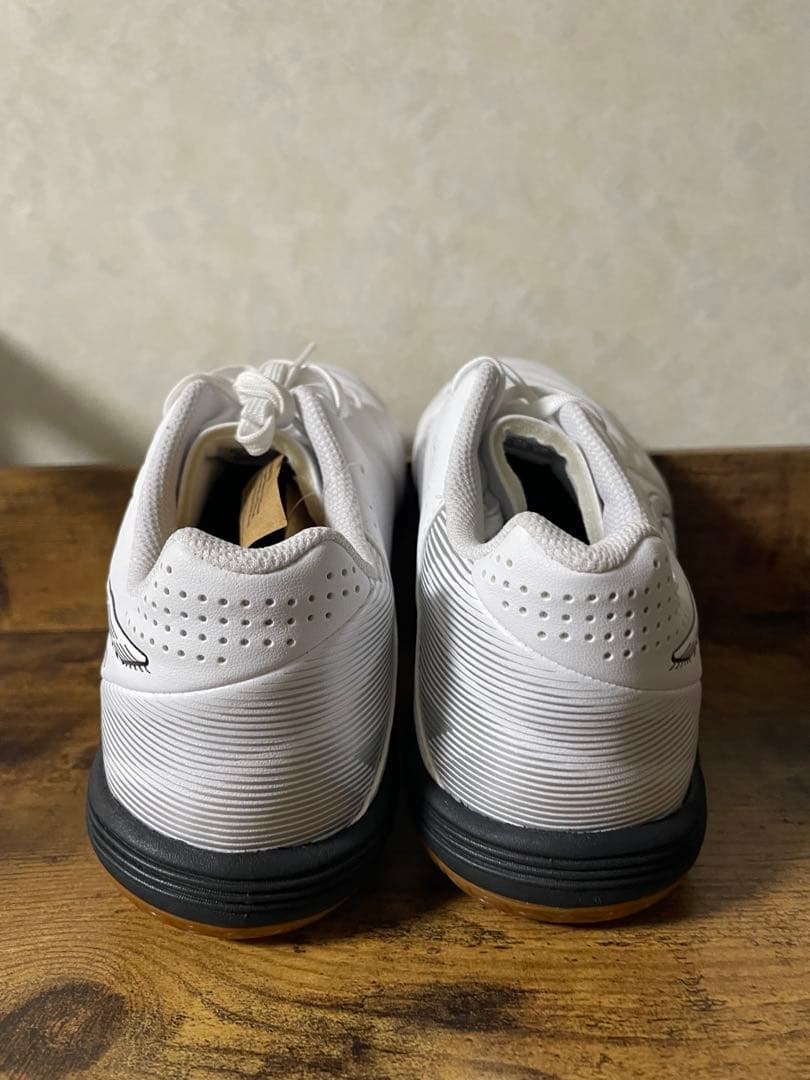 【新品・未使用】asics CALCETTO WD 9 屋内用　ワイド　白