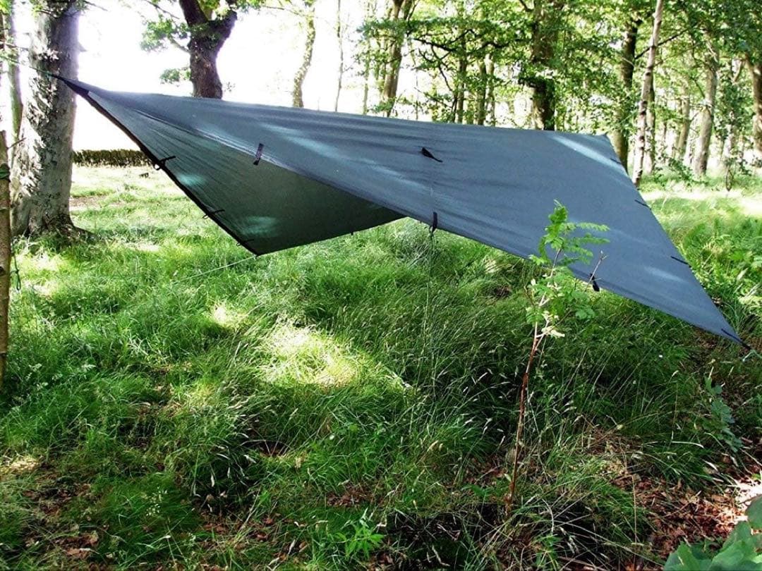 DD Tarp 3x3m オリーブグリーン おまけ付き