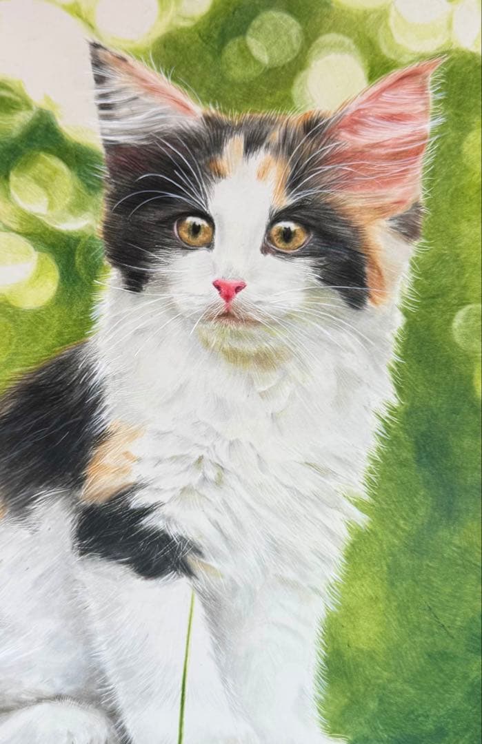 原画　色鉛筆画　A4サイズ　猫　額縁付き　手描き　イラスト