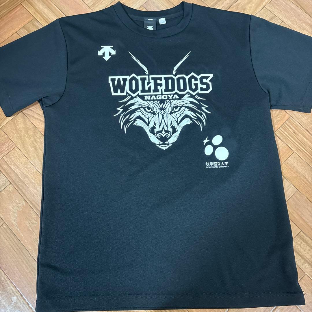 WOLFDOGS NAGOYA ウルフドックス名古屋バレー2025 岐阜協立大