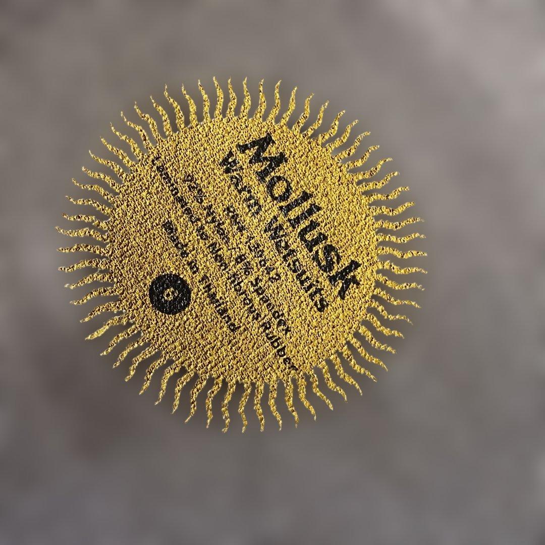 【美品】Mollusk　ウエットスーツ　3ミリ×２ミリ　レディース　サイズ６