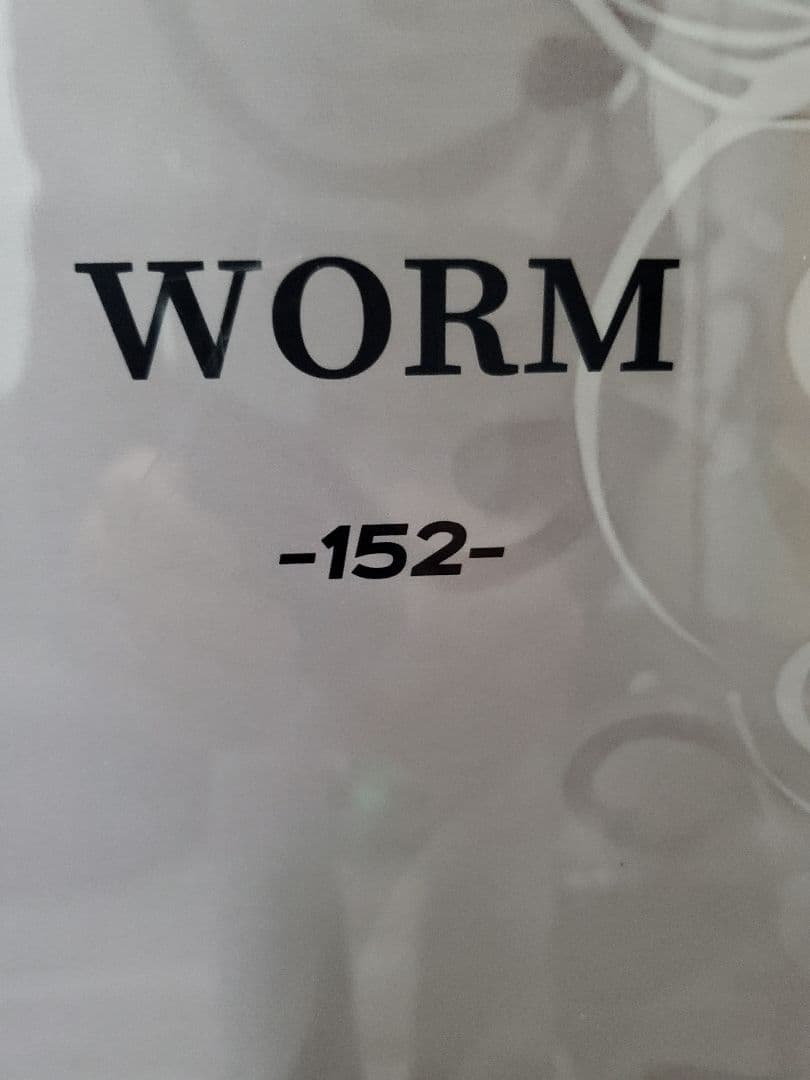 CROOJA WORM 152cm スノーボード クロージャ
