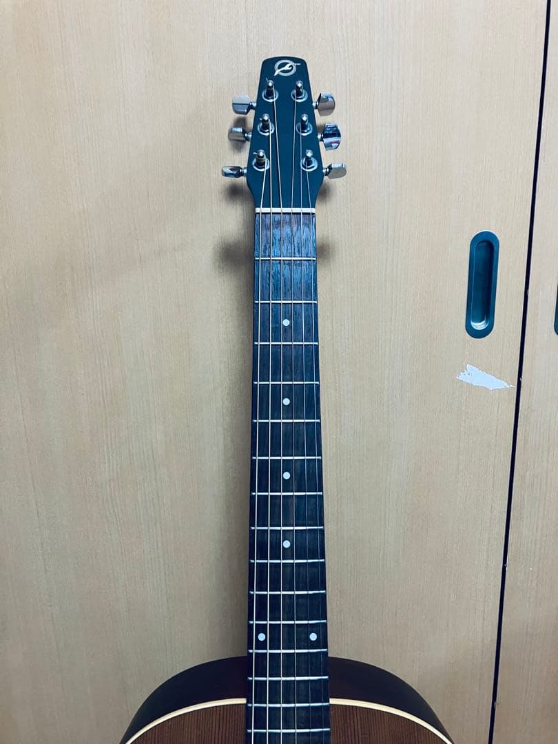 seagull S6 fork カナダ中堅モデルケース付きハンドメイドギター