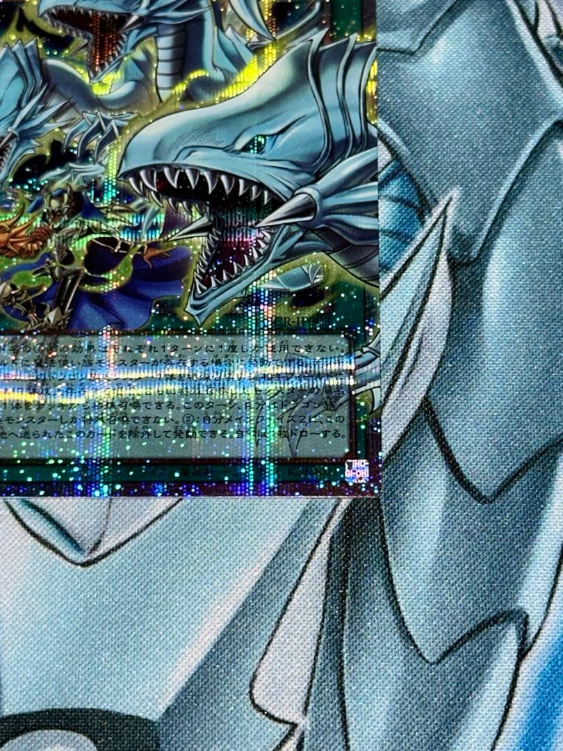 遊戯王 ドラゴン導きの呼笛 OFプリシク2枚