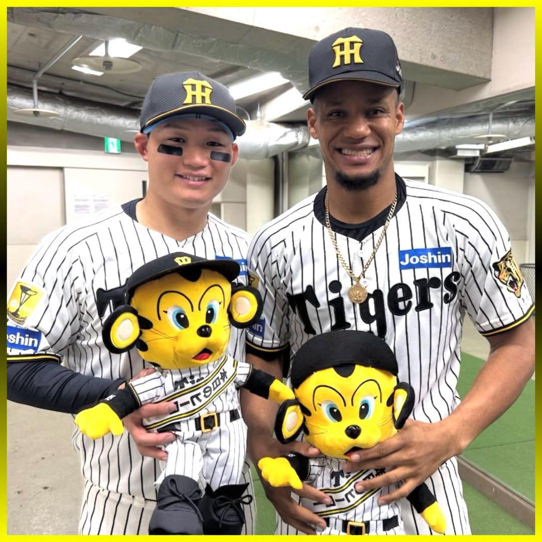 阪神タイガース／2026勝利時限定トラッキーミニトロフィー1日200個限定／新品