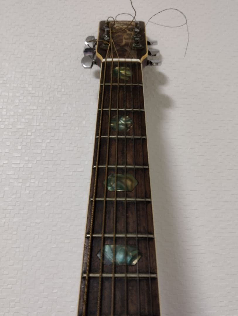 Hillbilly アコースティックギター W-60
