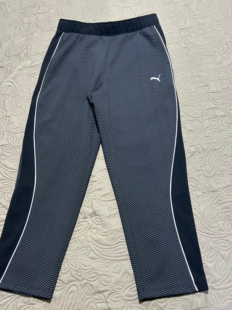 PUMAメンズセットアップLサイズ