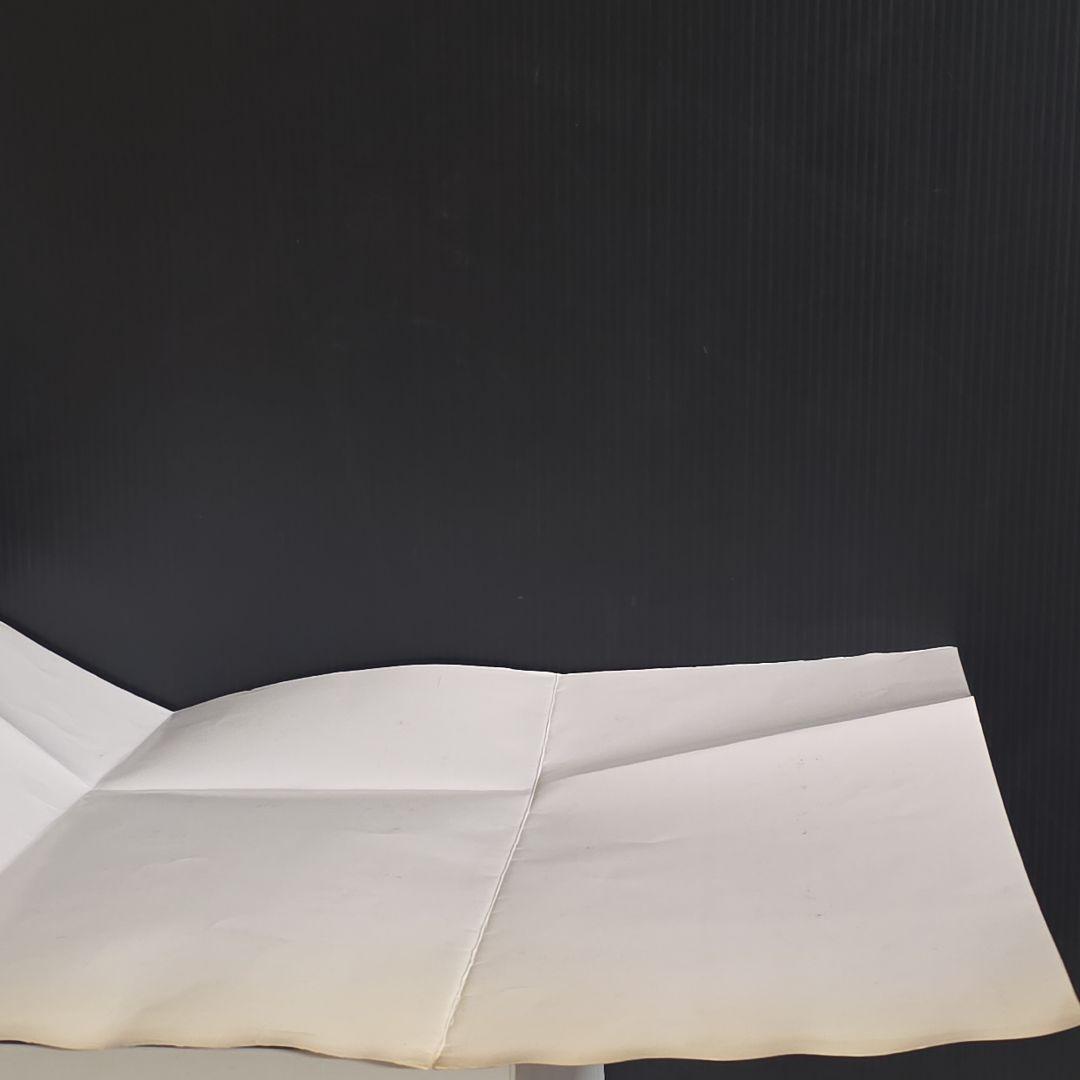 プロレス　コスモス　自販機　ガチャ　特大　紙物　台紙　昭和　レトロ　レア　グッズ
