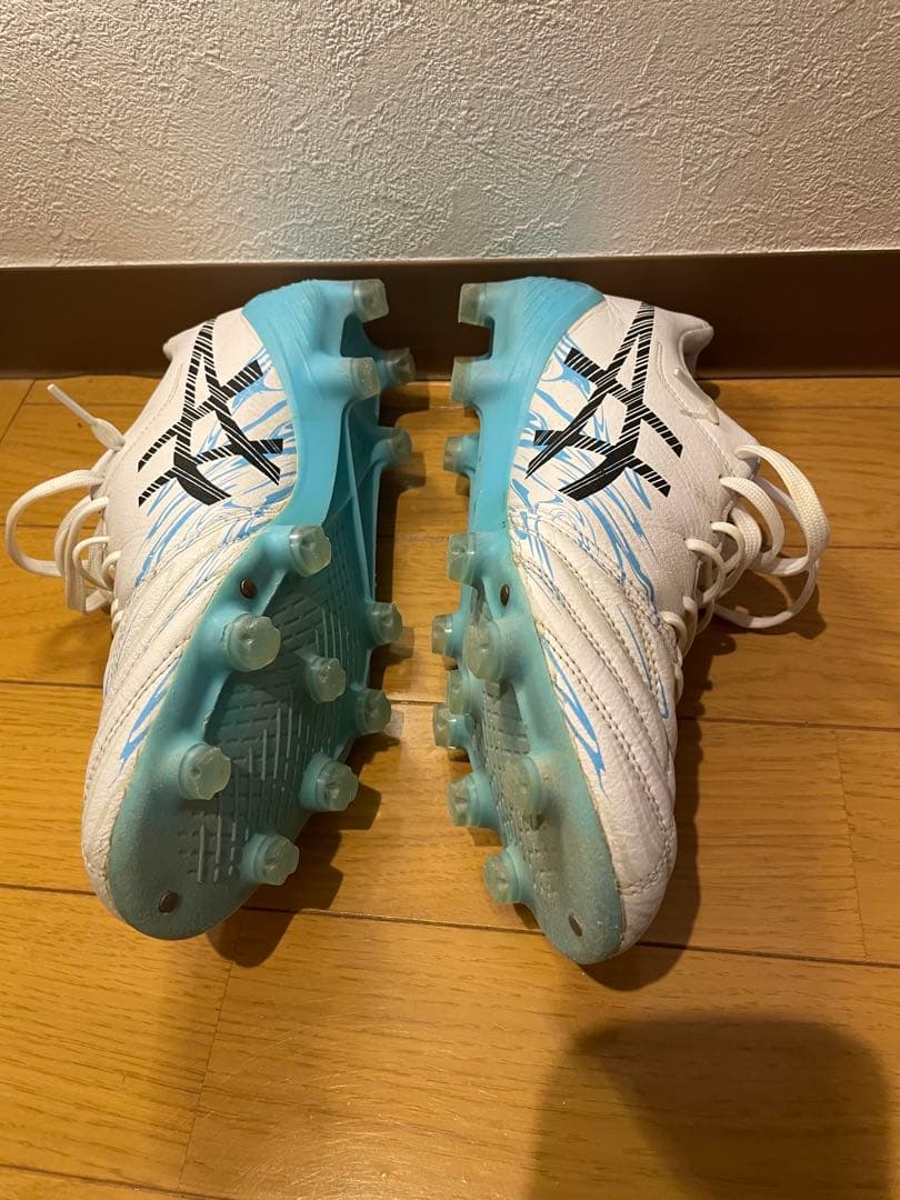 シューズ DS LIGHT X-FLY 5 LIMITED