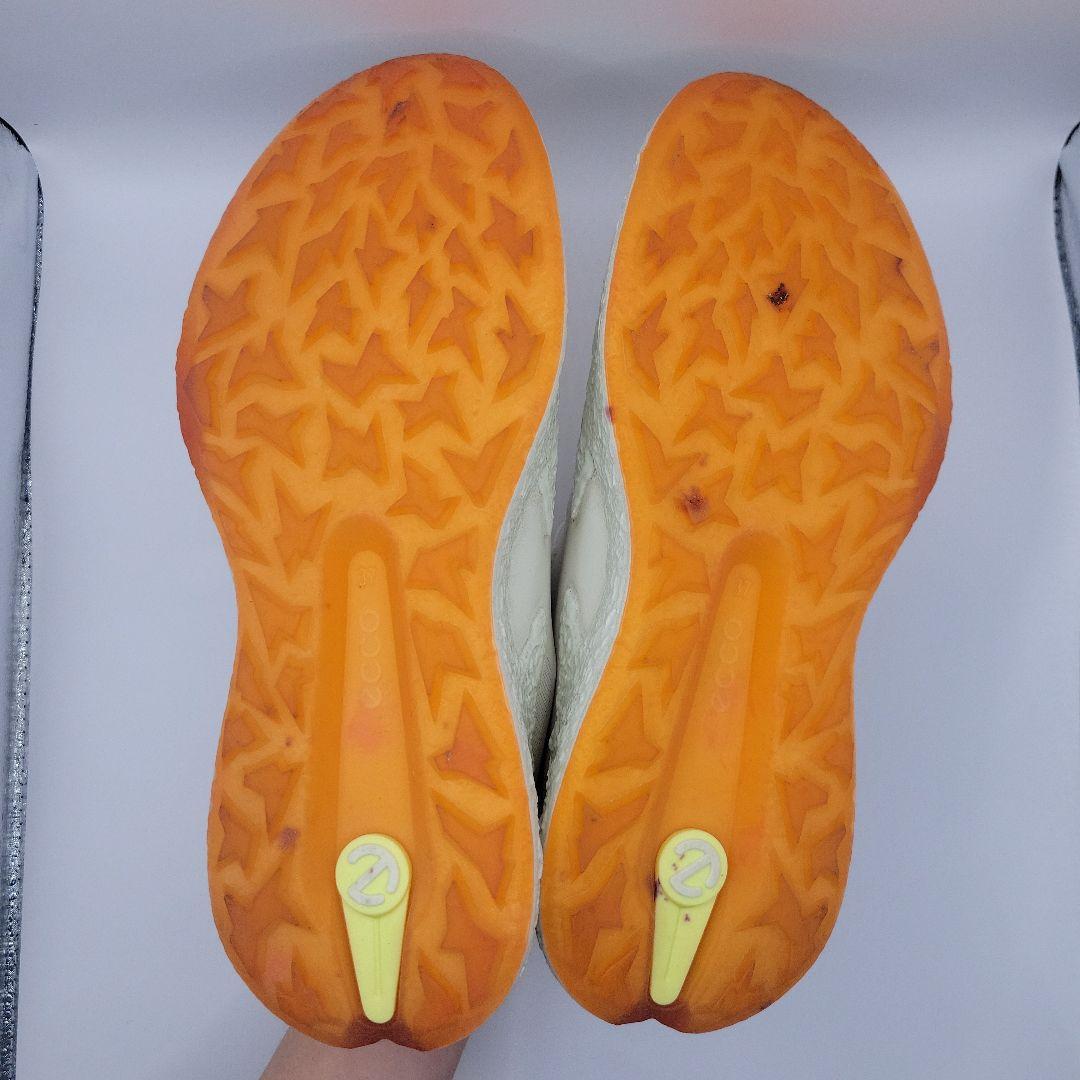 eccoエコーBIOM H5 BOA