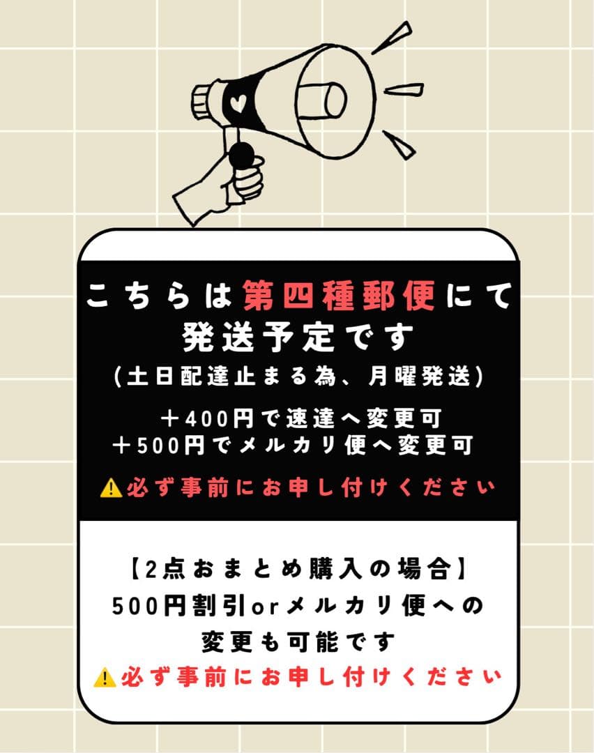 【第四種郵便】P. Willinckii Jade Girl(TC) 【V17】