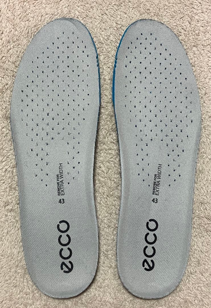 Eccoゴルフシューズ　サイズ43 BIOM C4