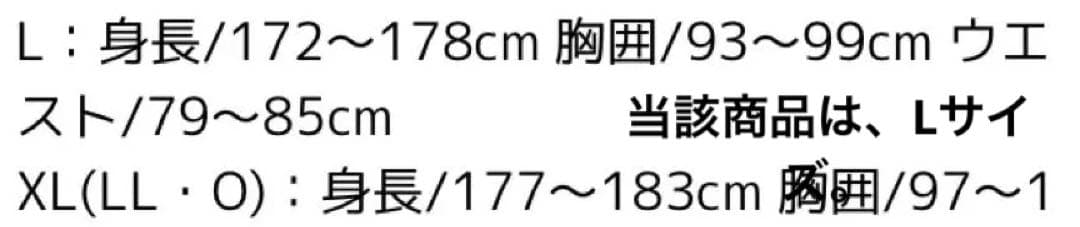 未使用品□TIGORA ティゴラ　防水透湿　レインスーツ上下　ネイビー　L