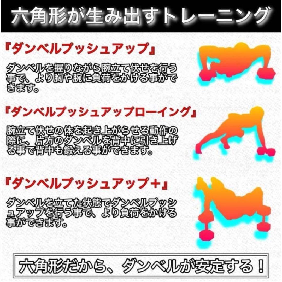 ダンベル 10kg 2個セット スタイリッシュ 六角