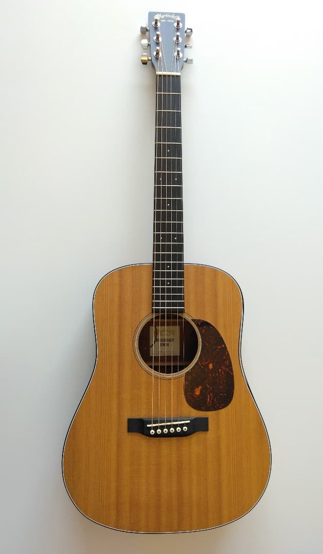 ギター Martin DJR-10E-02