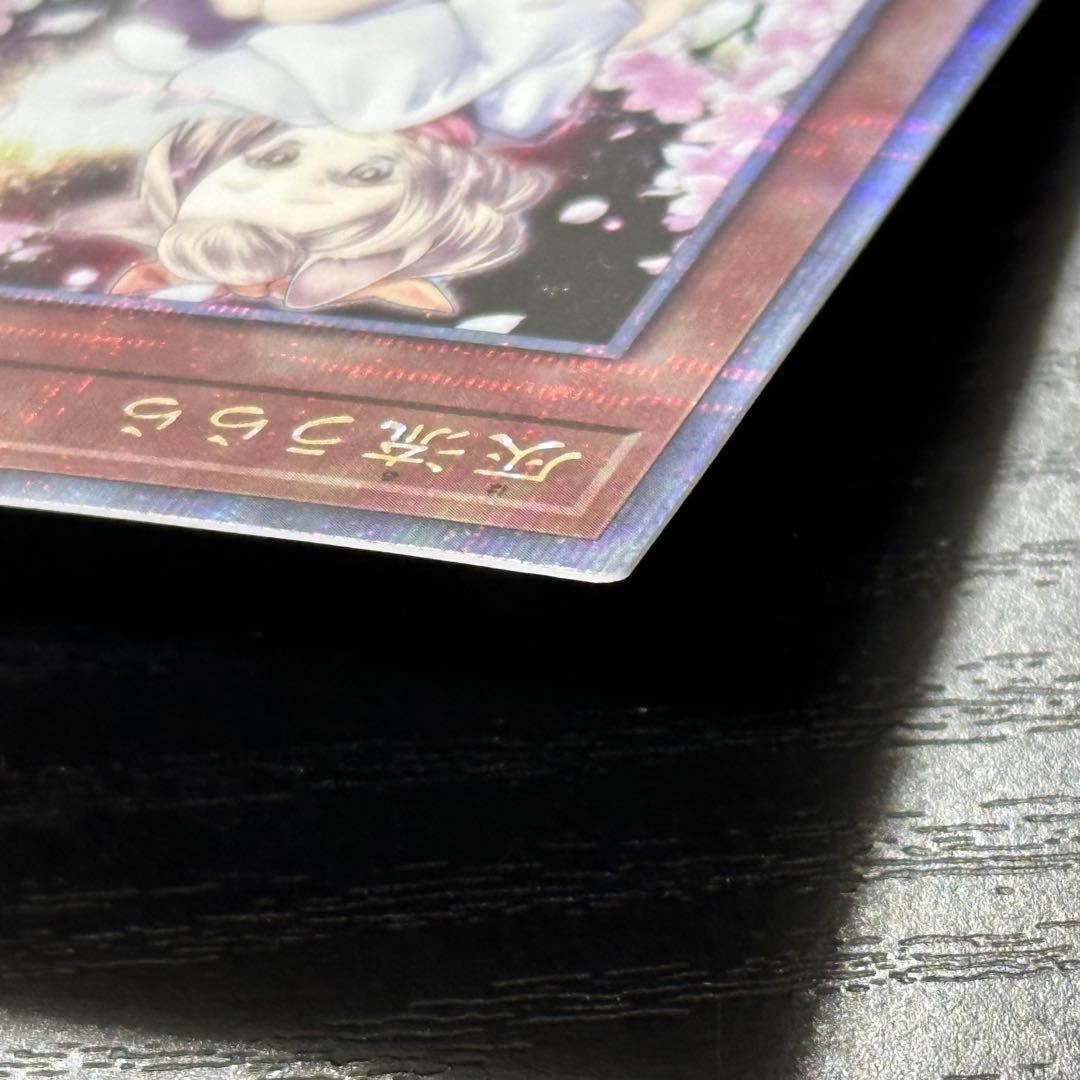 遊戯王 灰流うらら 25th 絵違い 日版 2枚