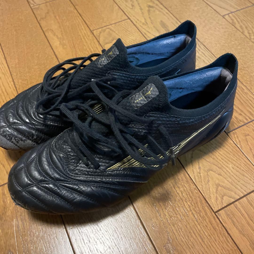 MORELIA NEO4β