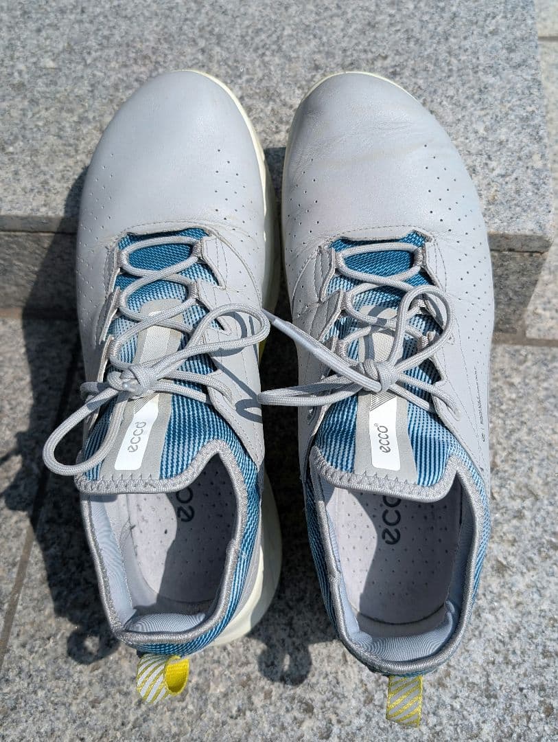 ecco ゴルフシューズ　BIOM C4 サイズ43