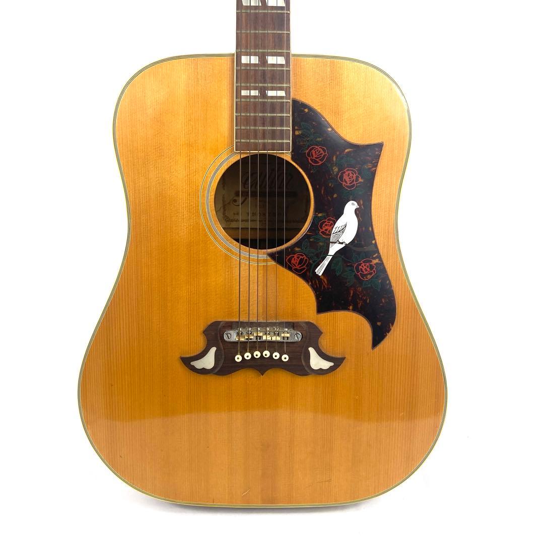 TOMSON TGF-351 アコースティックギター