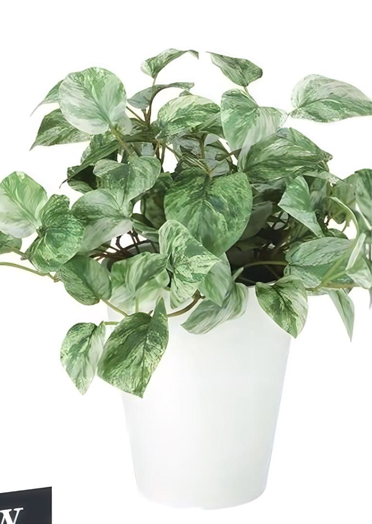 光触媒　人工観葉植物　ウォールグリーン　フェイクグリーン　マーブルポトス3030