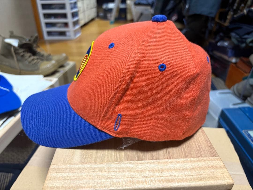 スポーツザウルスキャツプ