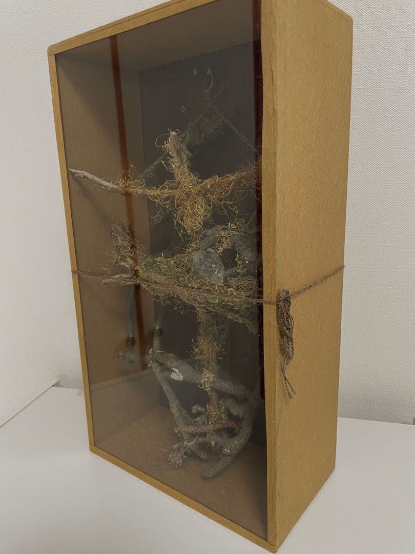 はいいろオオカミ＋花屋西別府商店 壁飾り 植物オブジェ 標本箱