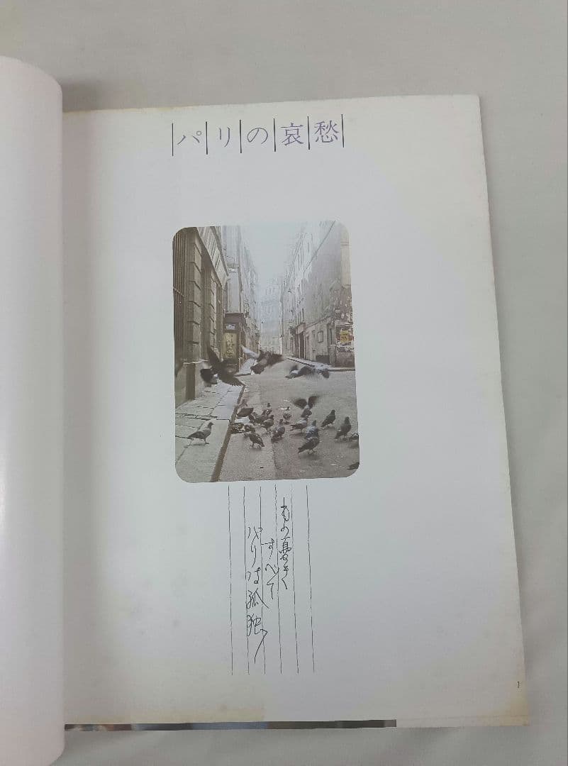 沢田研二　コンサート　舞台　写真集　パンフレット 　7点　ジュリー　雑誌