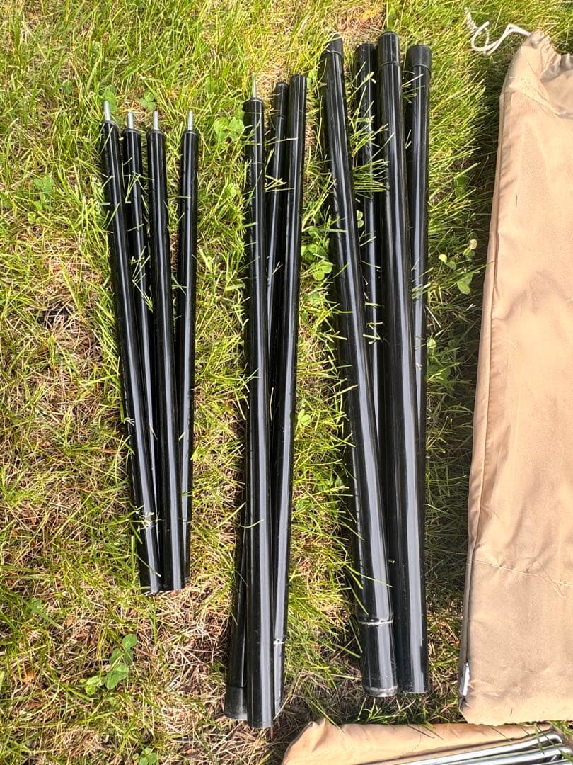【最終価格】サバティカル モーニンググローリー TC