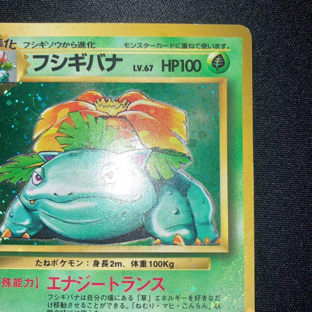 美品　全面ホロ　フシギバナ　旧裏　キラ　ホロ