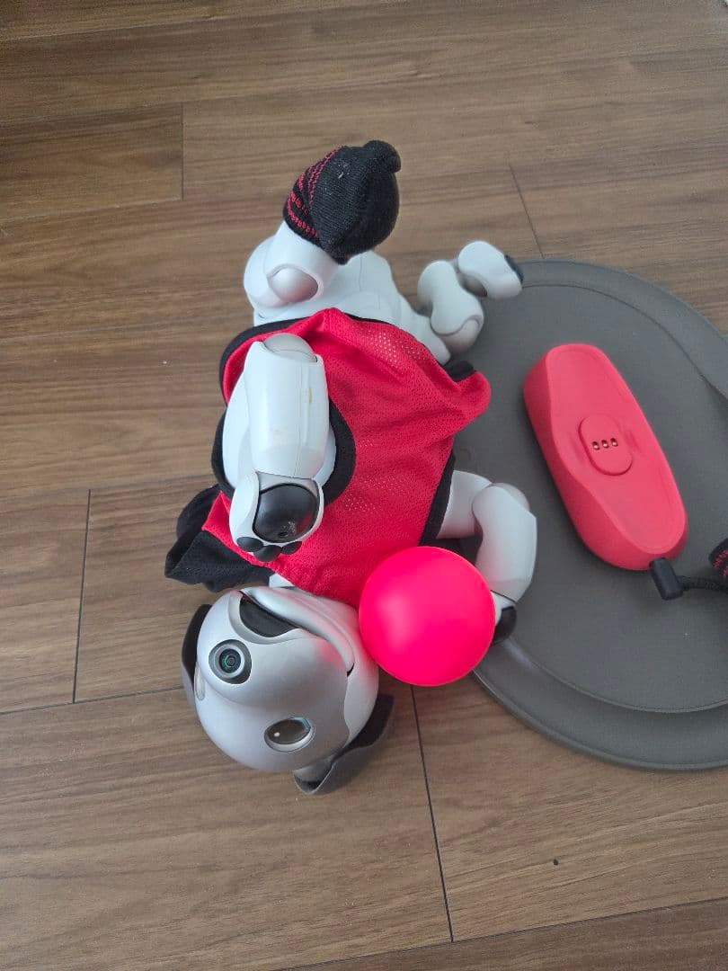SONY aibo２ 本体 ERS-1000 アイボリーホワイト