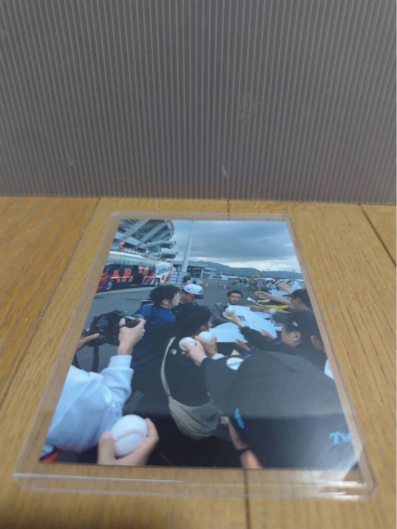 森下翔太 2025年侍ジャパン日本代表 ロゴ入り直筆サインボール 証拠写真付き