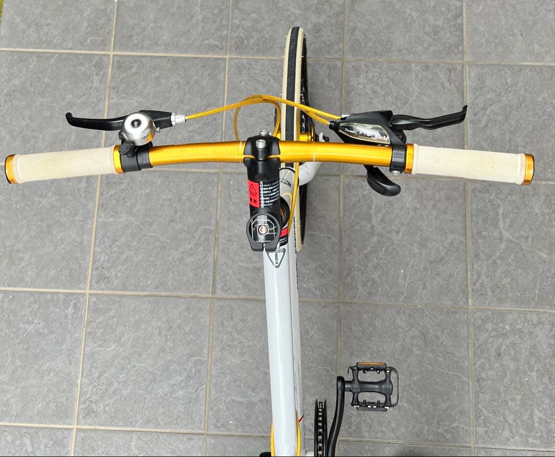 送料込◆美品◆ドッペルギャンガーinterlagos 550 20型 前カゴ付