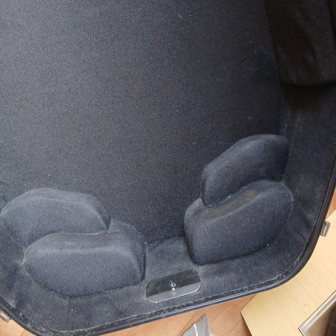 Eastman チェロ用ハードケース　約3.5kg