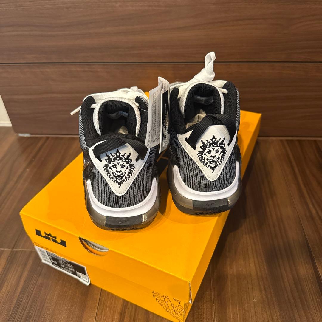 Nike LeBron バスケットボールシューズ ブラック/ホワイト