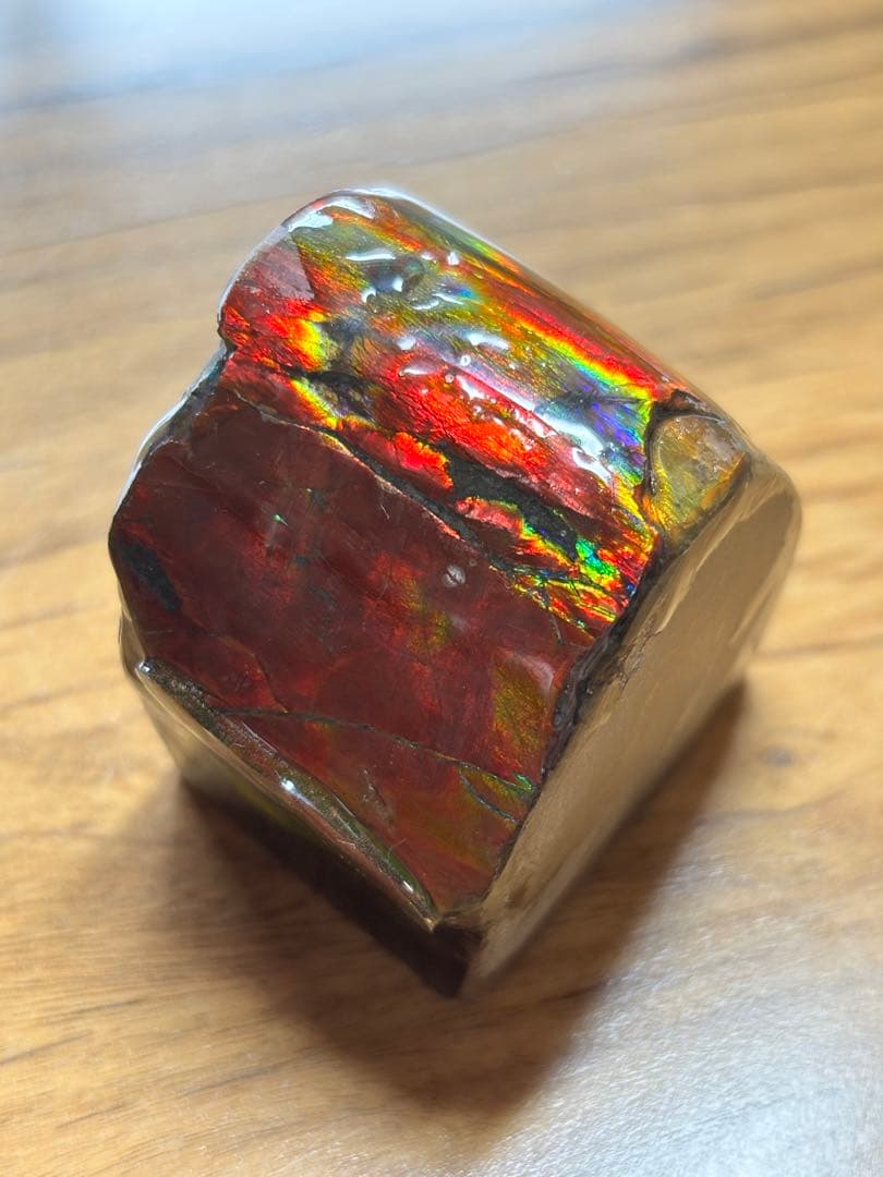 アンモライト カナダ アルバータ産 化石 Ammolite 