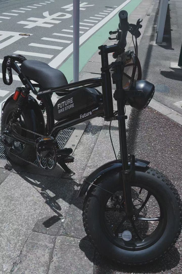 FUTUREBIKE 16インチファットバイク