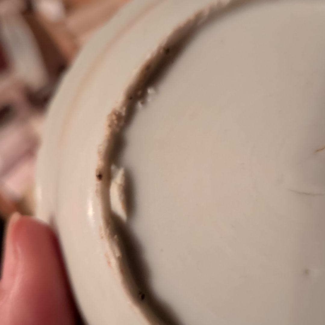 景徳鎮窯　陽刻梅紋　兎紋皿