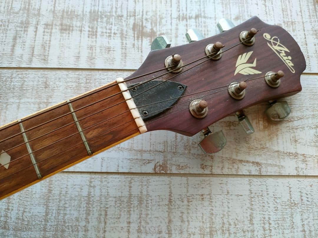 ARIA アコースティックギター F-130 グリーン