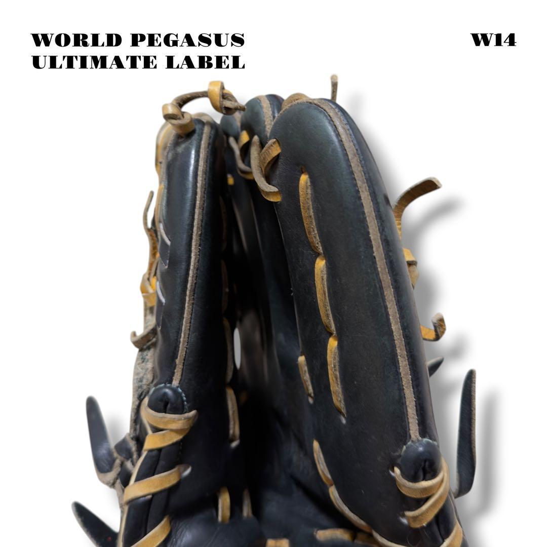 希少品！ WORLD PEGASUS ワールド ペガサス グローブ グラブ 内野