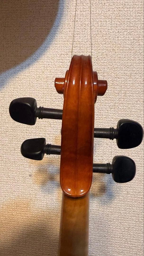 バイオリン本体4/4サイズ　STENTOR Conservatoire