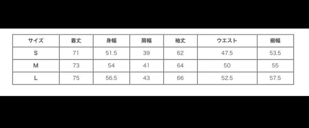 スノーボードウェア 女性用 オーシャンパシフィック S 新品未使用