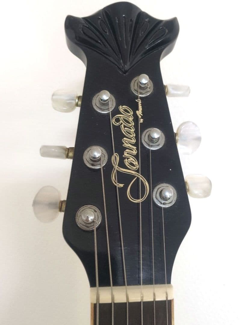 Morris エレアコ Tornado ZⅡ ソフトケース付