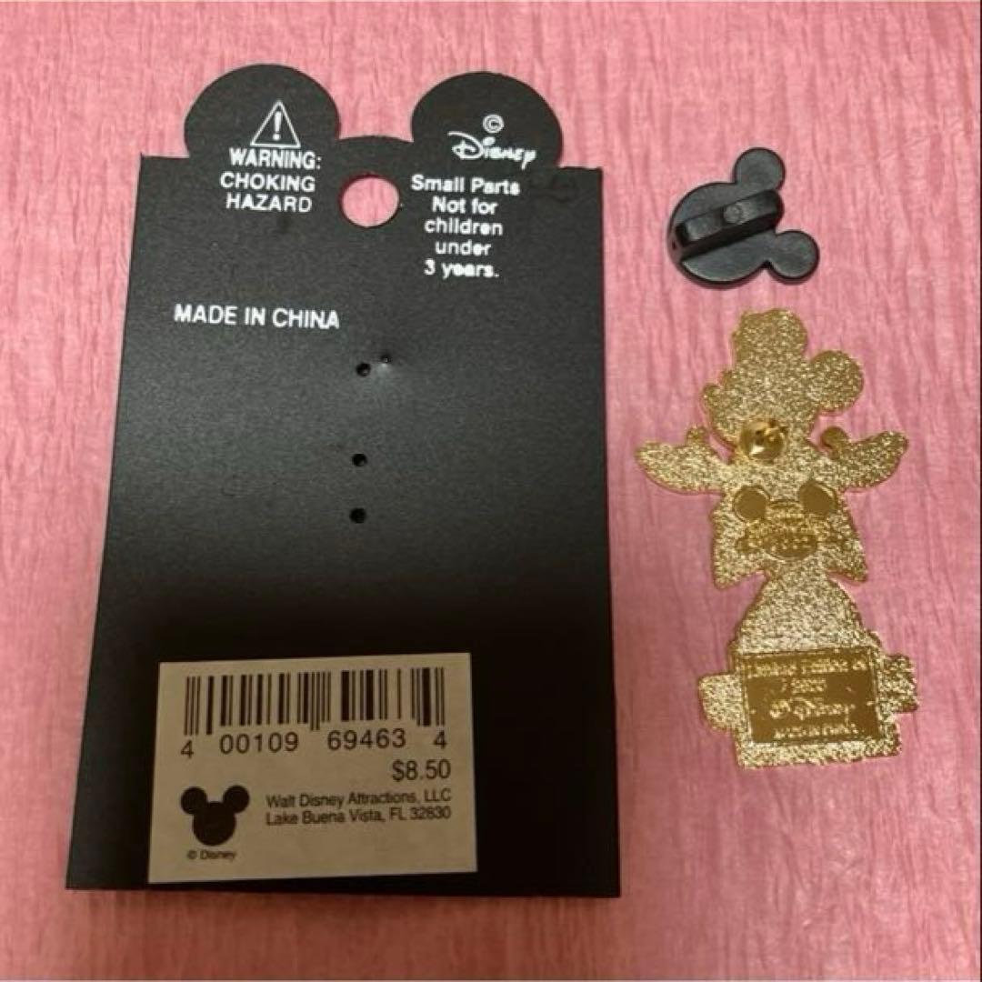 ディズニー　ミニー　ナース　看護師　ピン　レア　 ピンバッジ　病院