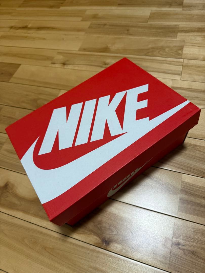 Nike ZoomX Pegasus Plus／レディース25.5cm
