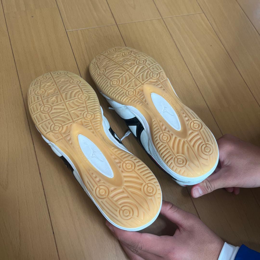 MIZUNOモレリア　インドア