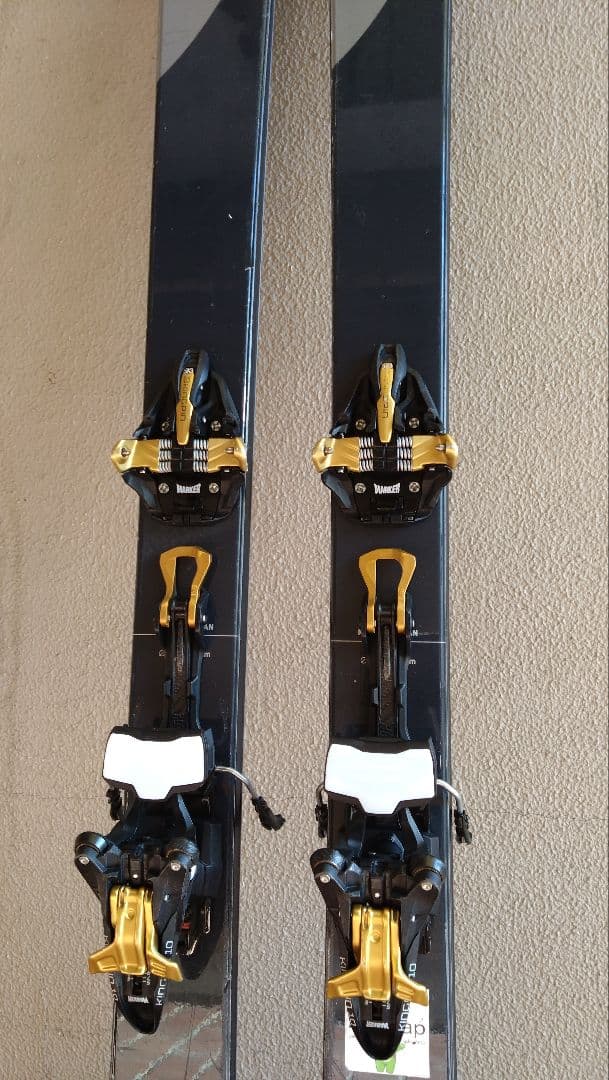 ベクターグライド　コルドヴァ　スタンダード　175cm