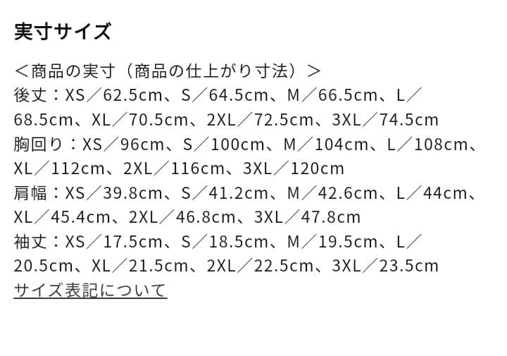 2XLサイズ【国スポ SAGA2024】MIZUNO 限定ポロシャツ 国体