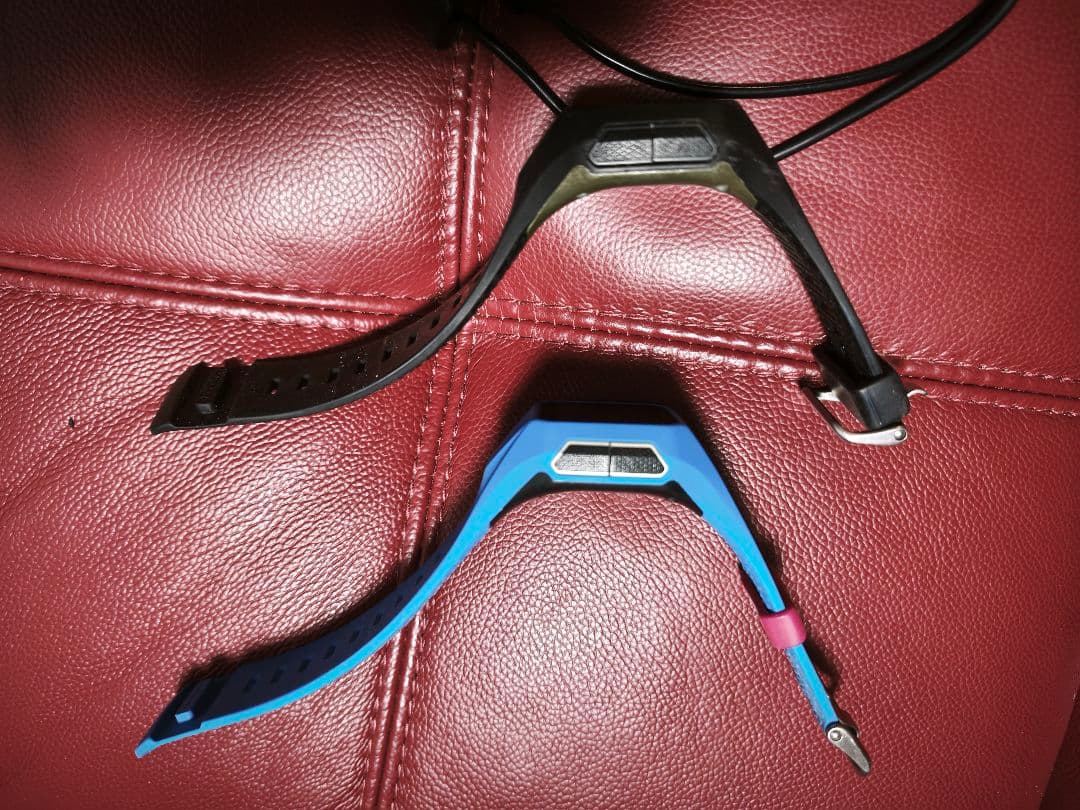 RIP CARL SEARCH GPS 2台セット