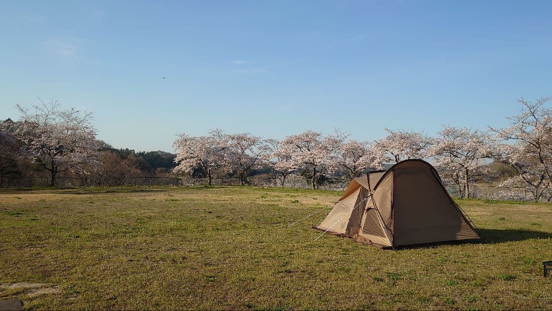 【中古・美品】ヴィガス2　【値下げしました】